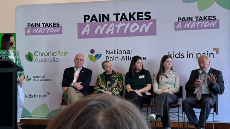 Presenters share the impacts of chronic pain on daily life.